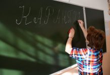 Переносчик – медведь: новый очаг опасной болезни выявили в Алтайском крае