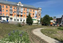 Рубцовск меняет палитру: почти десять тысяч растений высадят на главных улицах города
